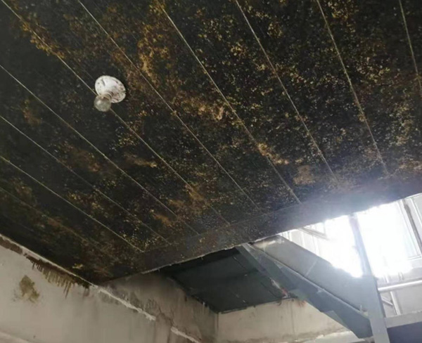 针对工程结构受损情况提出了不同的维修加固方法 针对工程结构受损情况提出了不同的维修加固方法